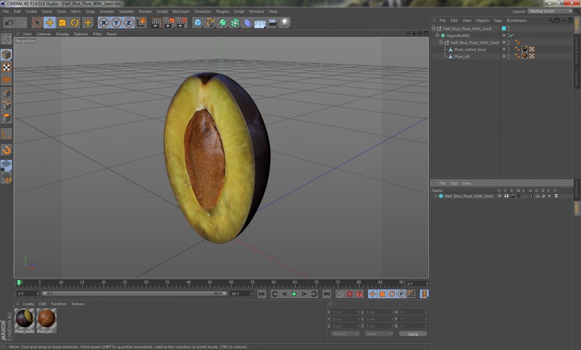 Half Blue Plum With Seed 3D model