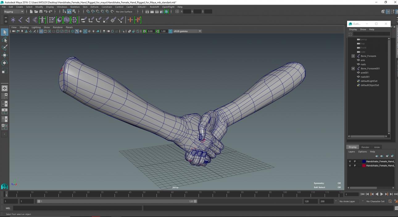 Handshake Female Hand Rigged for Maya 3D