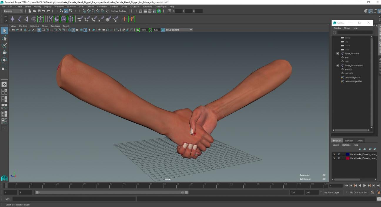 Handshake Female Hand Rigged for Maya 3D