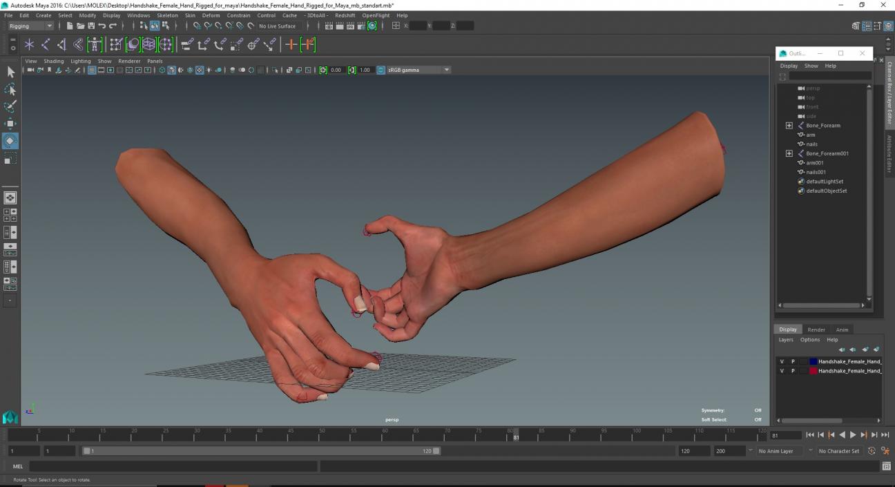 Handshake Female Hand Rigged for Maya 3D