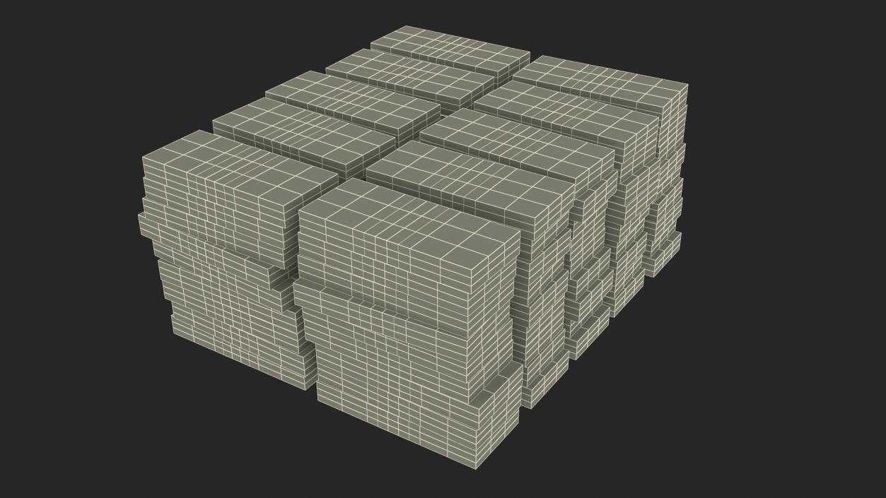 Stacks of 100 Dollar Bills Packs 3D