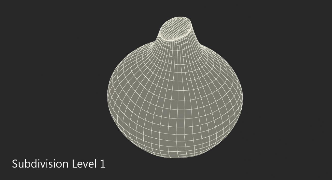 Onion 3D model