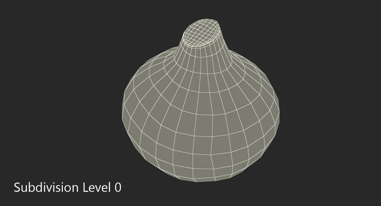 Onion 3D model