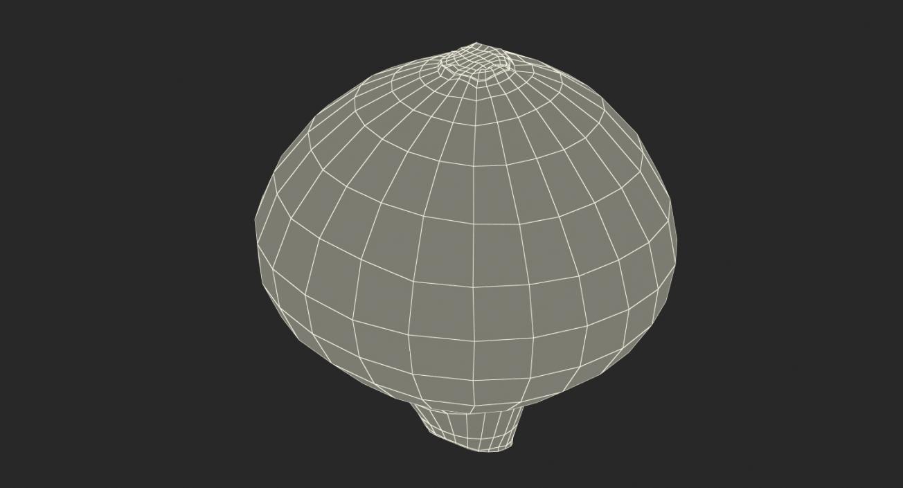 Onion 3D model