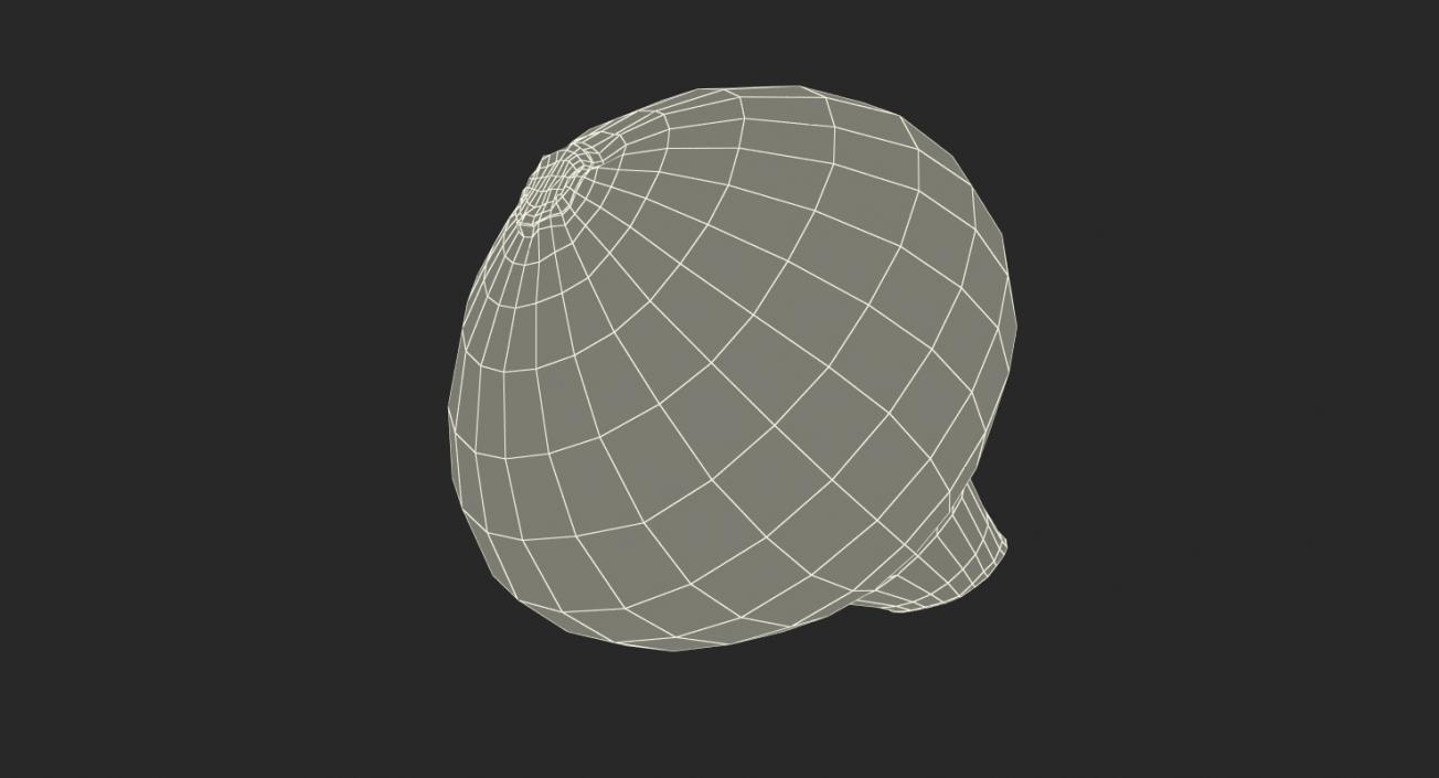 Onion 3D model