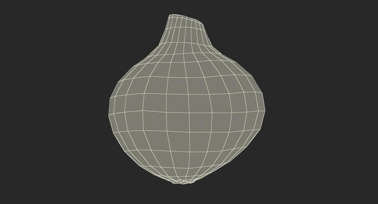 Onion 3D model