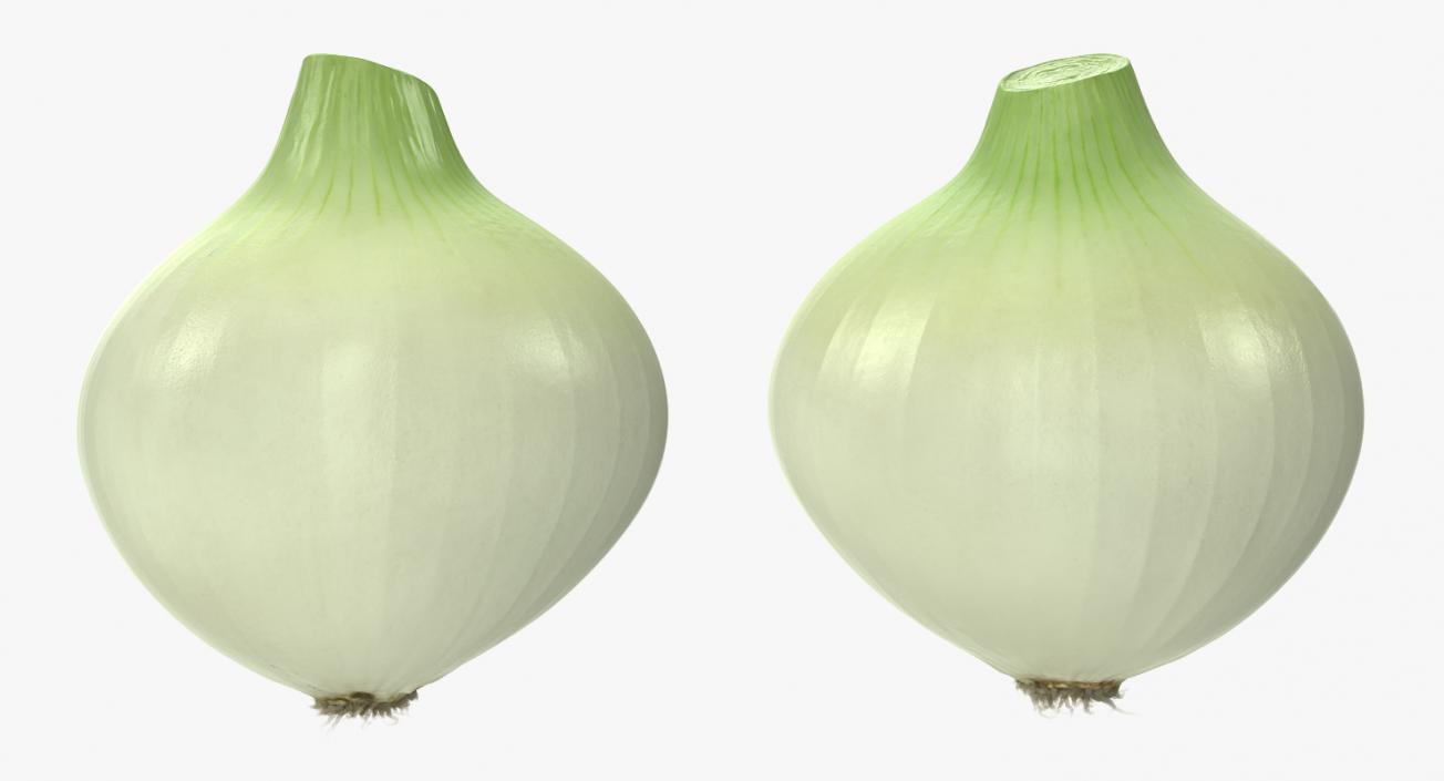 Onion 3D model