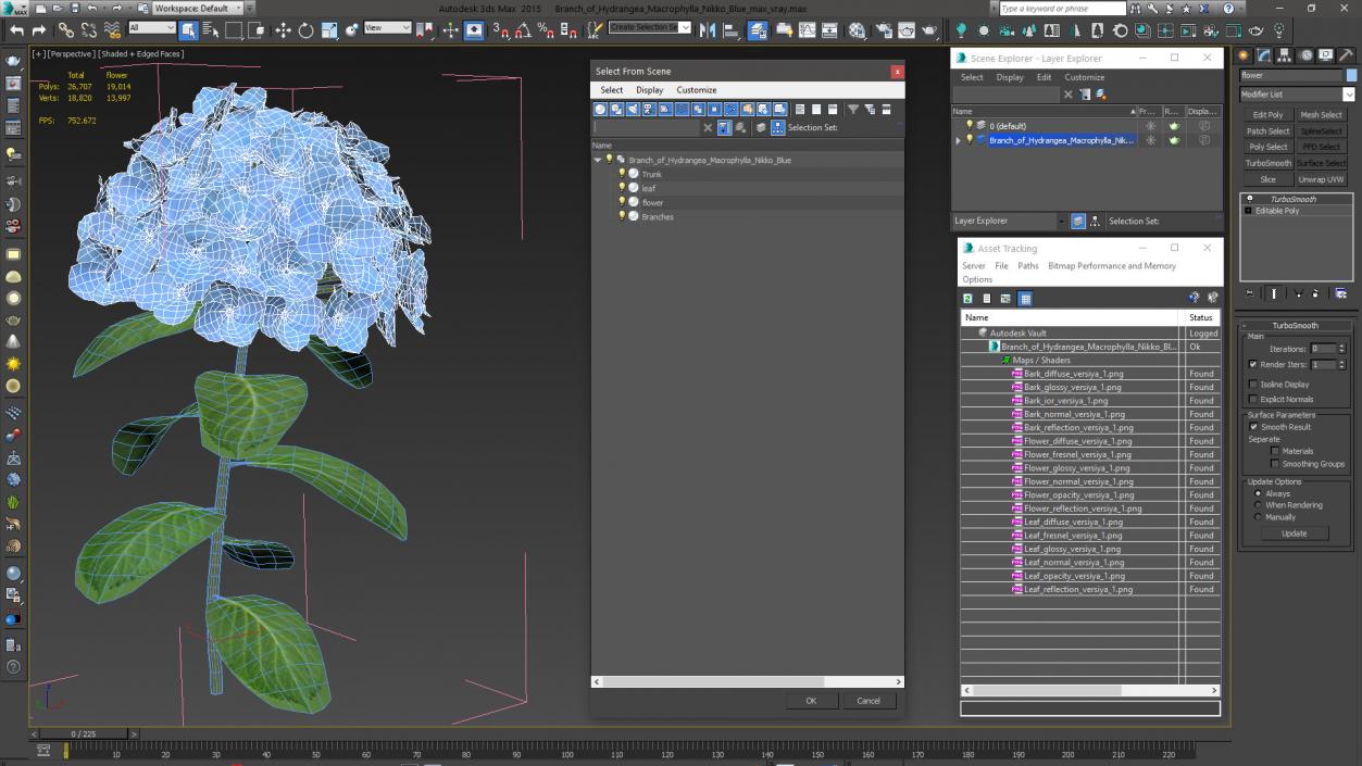 Branch of Hydrangea Macrophylla Nikko Blue 3D