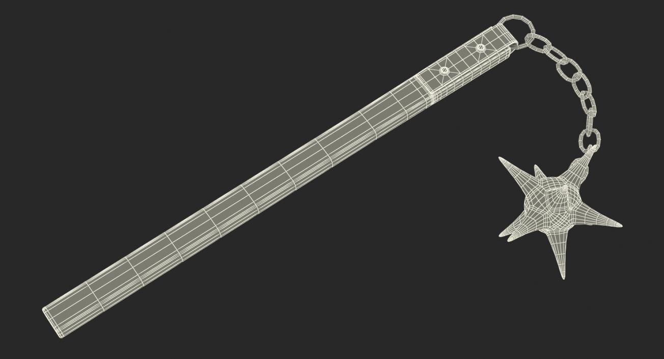 Long Spiked Flail 3D