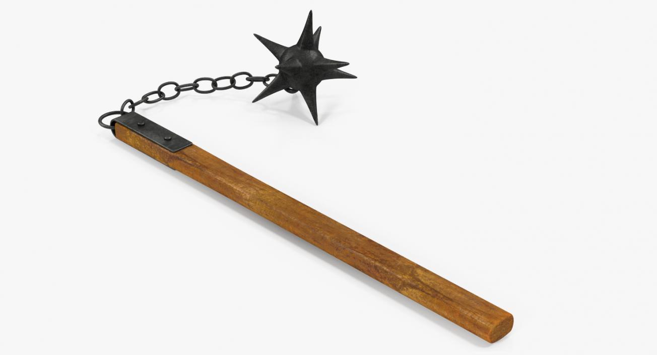 Long Spiked Flail 3D