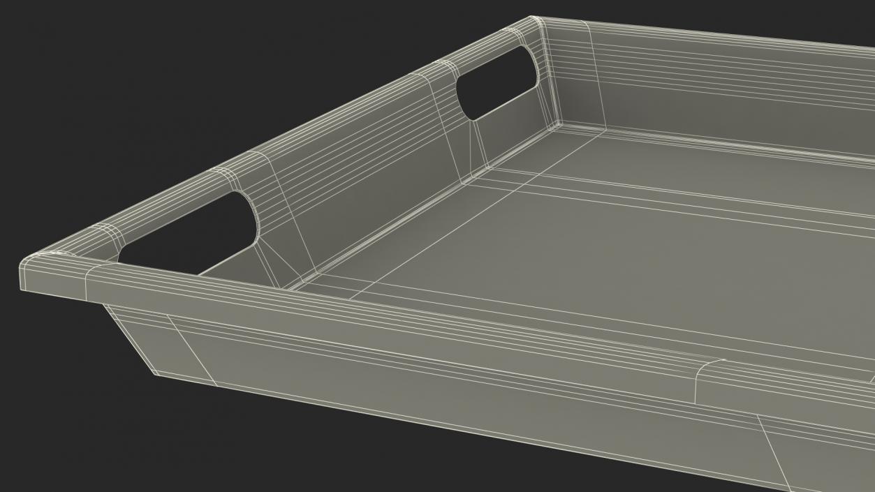 3D Standard Body Tray model