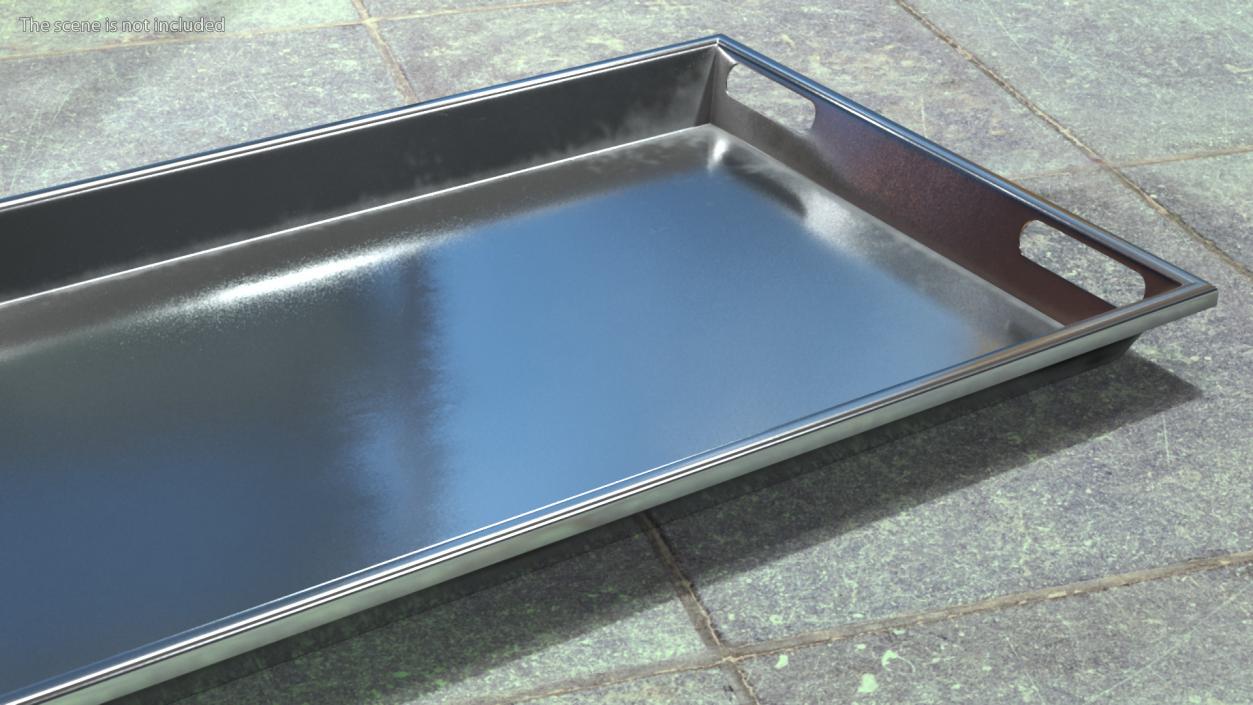 3D Standard Body Tray model