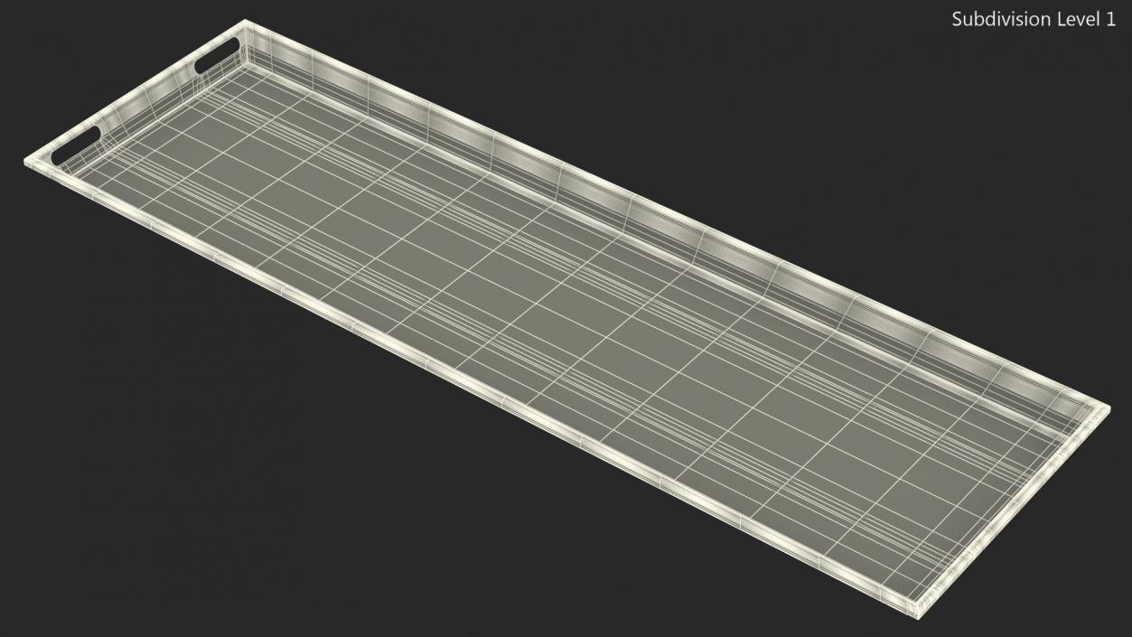 3D Standard Body Tray model