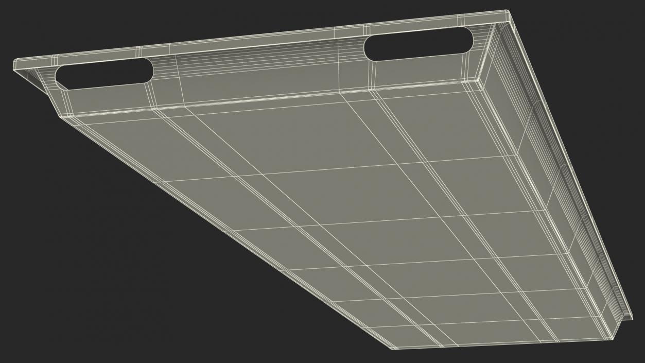 3D Standard Body Tray model