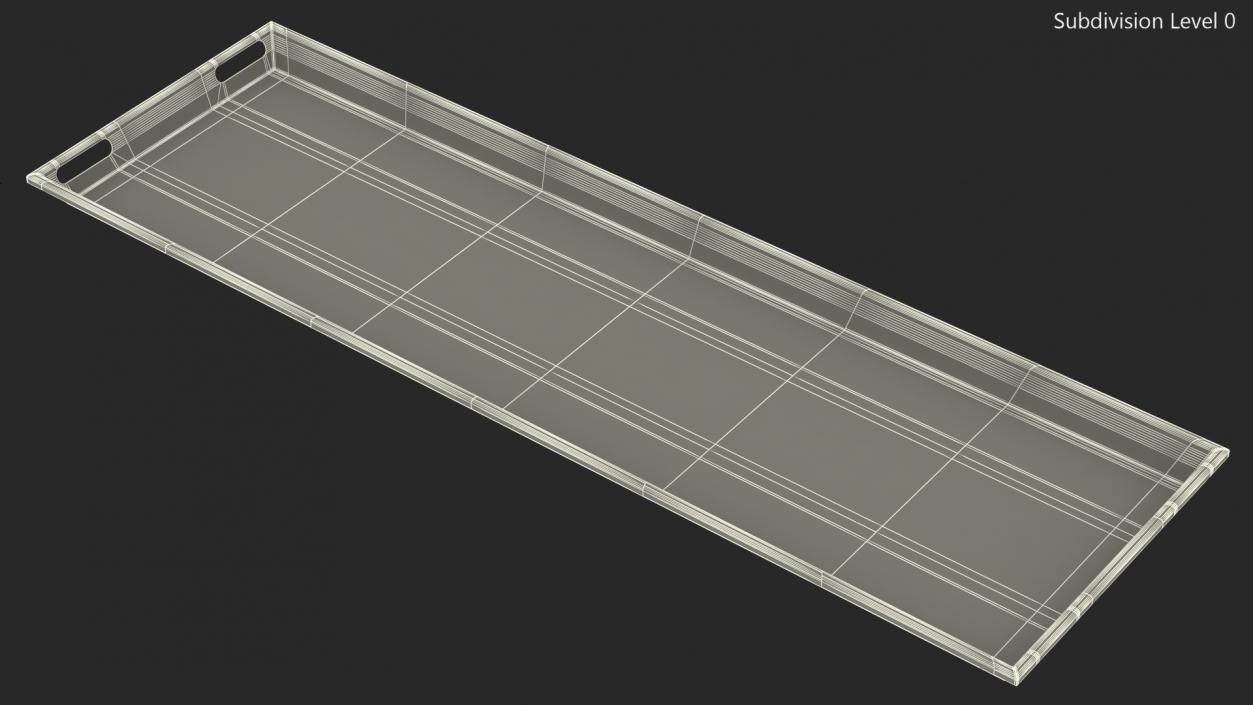 3D Standard Body Tray model