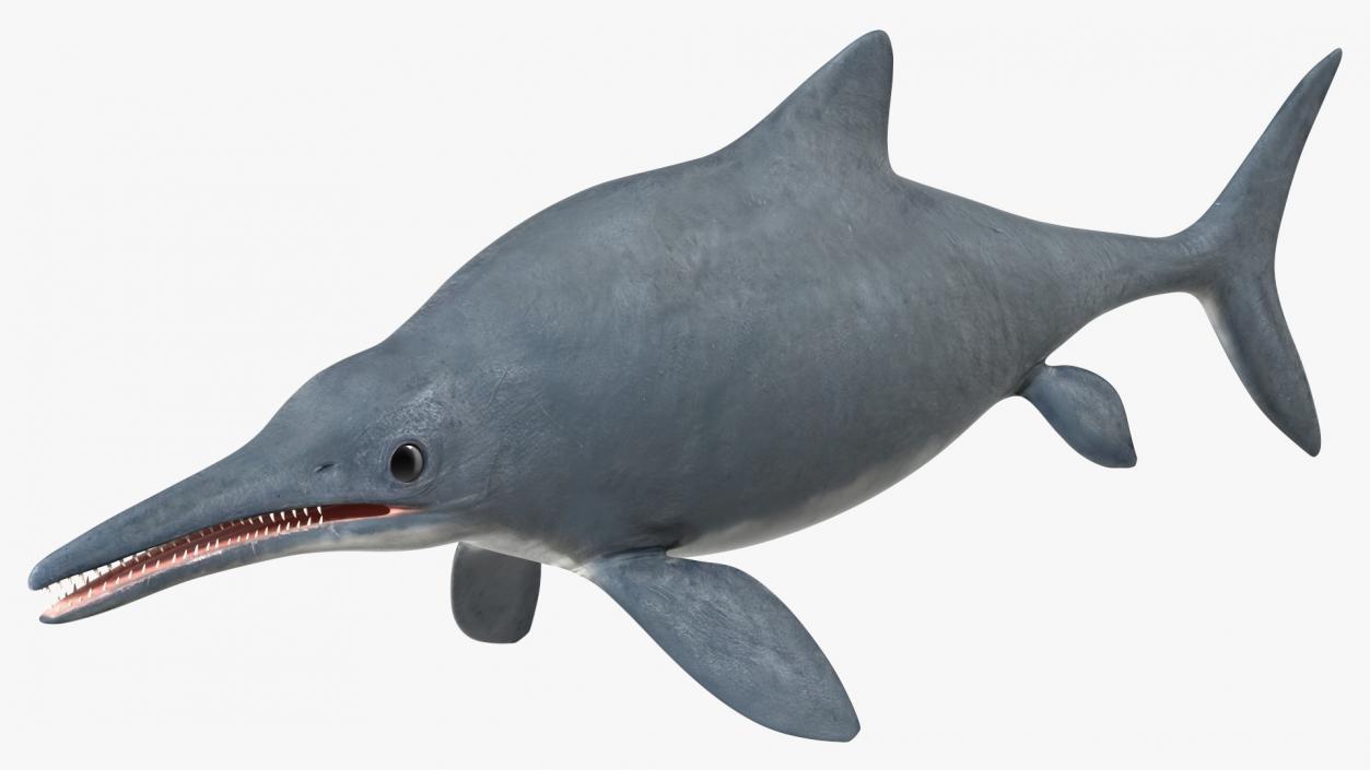 Ichthyosaur Rigged for Maya 3D