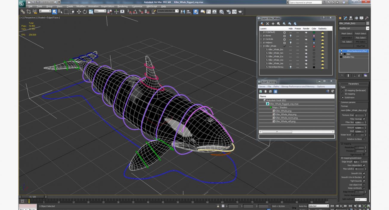 Killer Whale Rigged 3D model