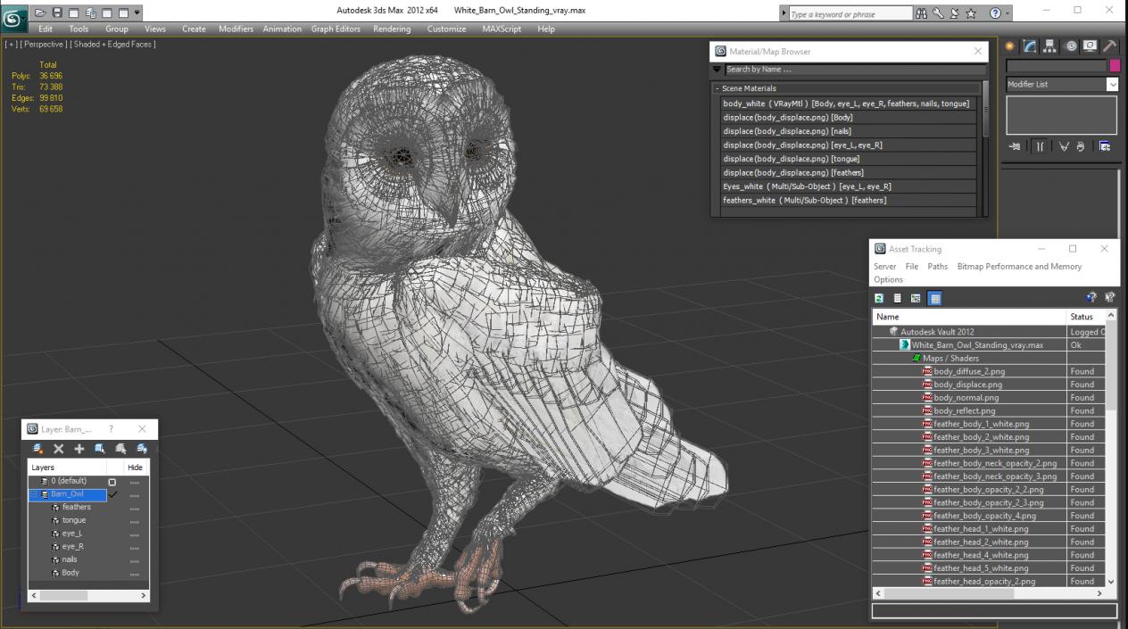 3D White Barn Owl Standing model