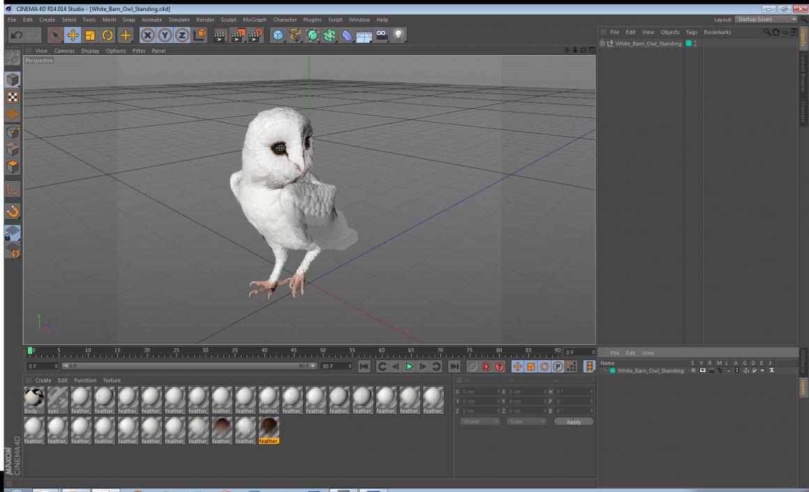 3D White Barn Owl Standing model