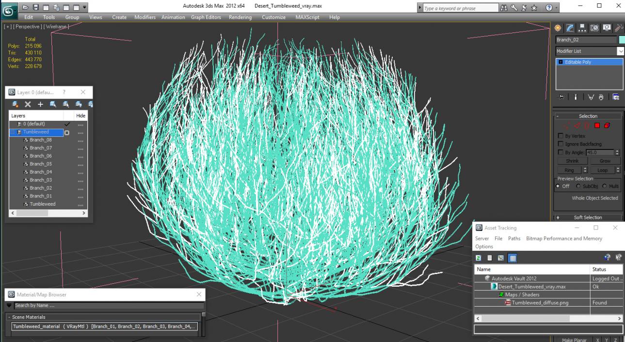 Desert Tumbleweed 3D