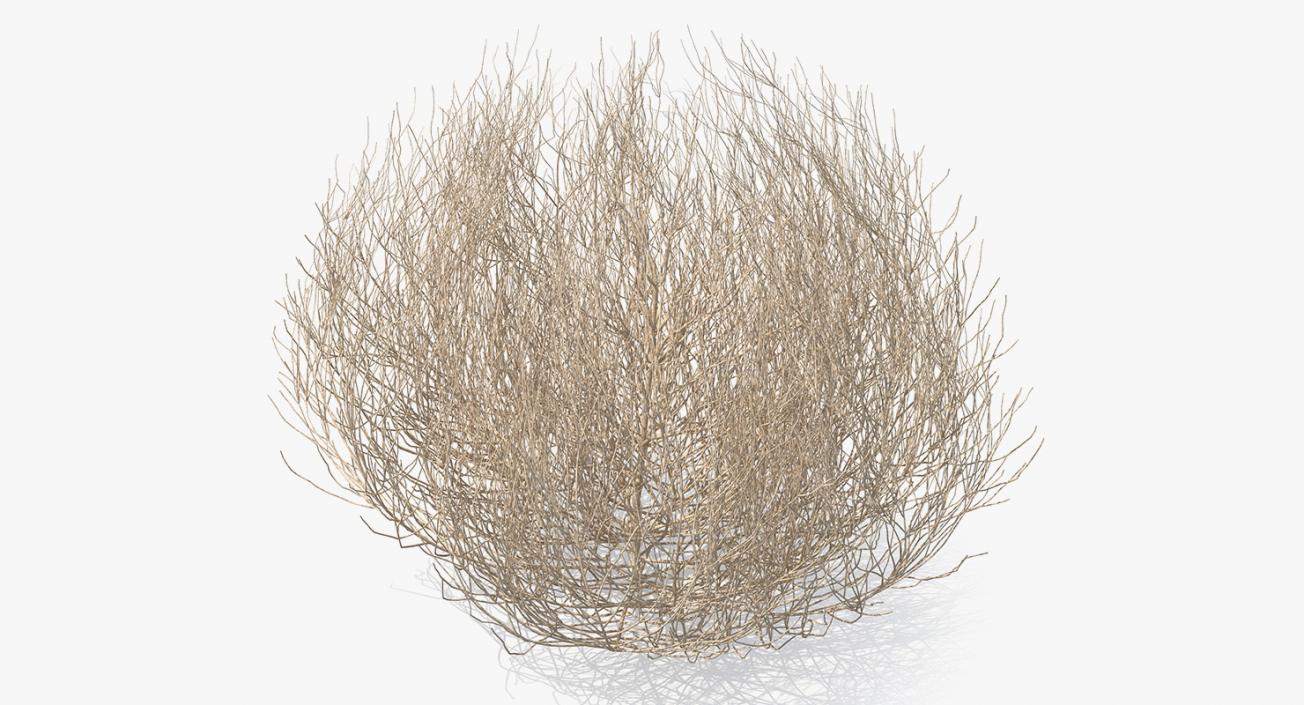 Desert Tumbleweed 3D