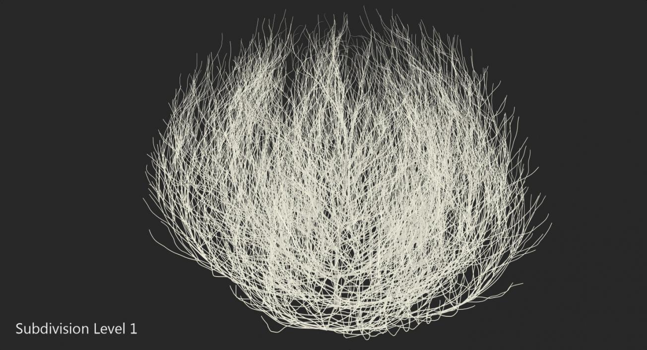 Desert Tumbleweed 3D