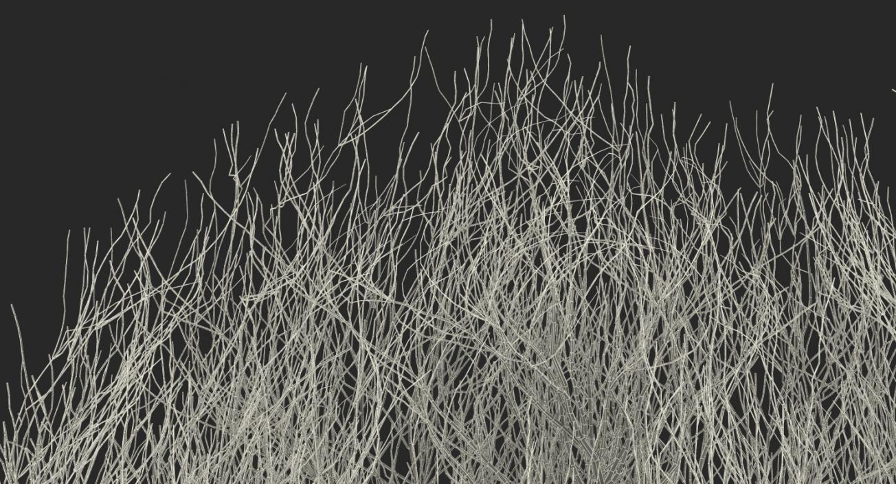 Desert Tumbleweed 3D