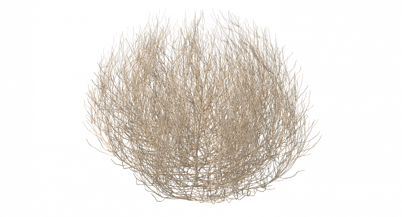 Desert Tumbleweed 3D