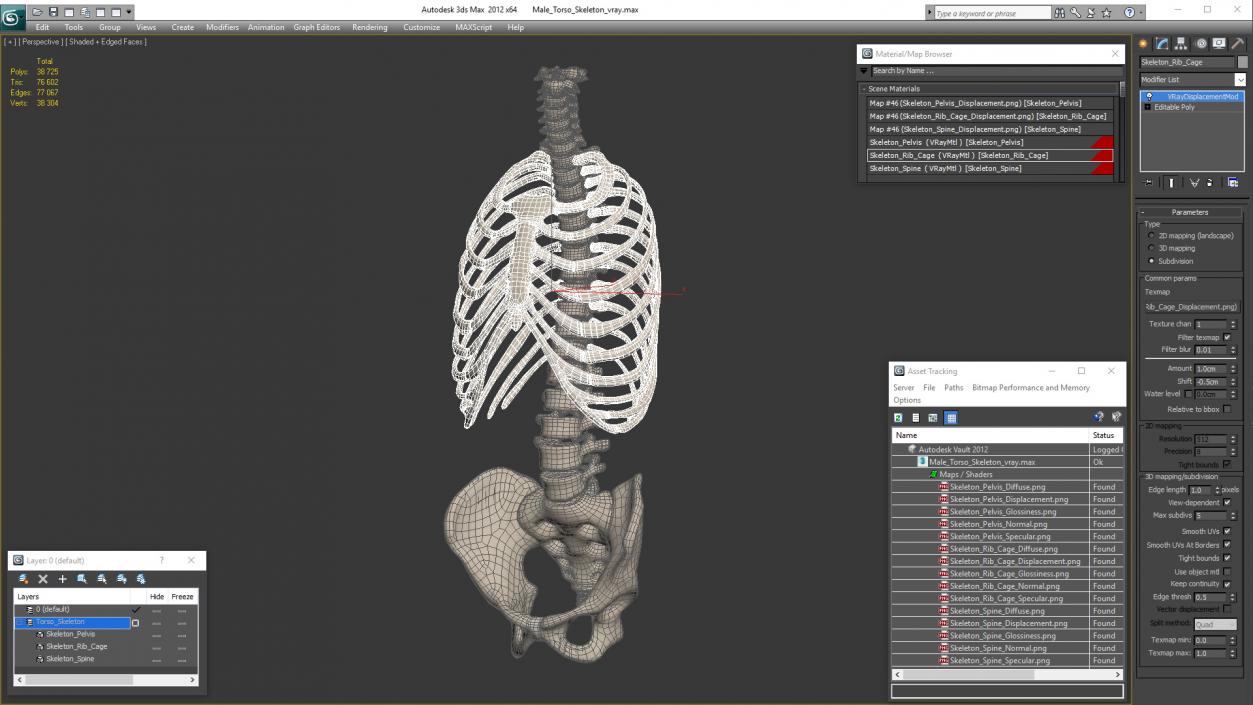 3D Male Torso Skeleton 2