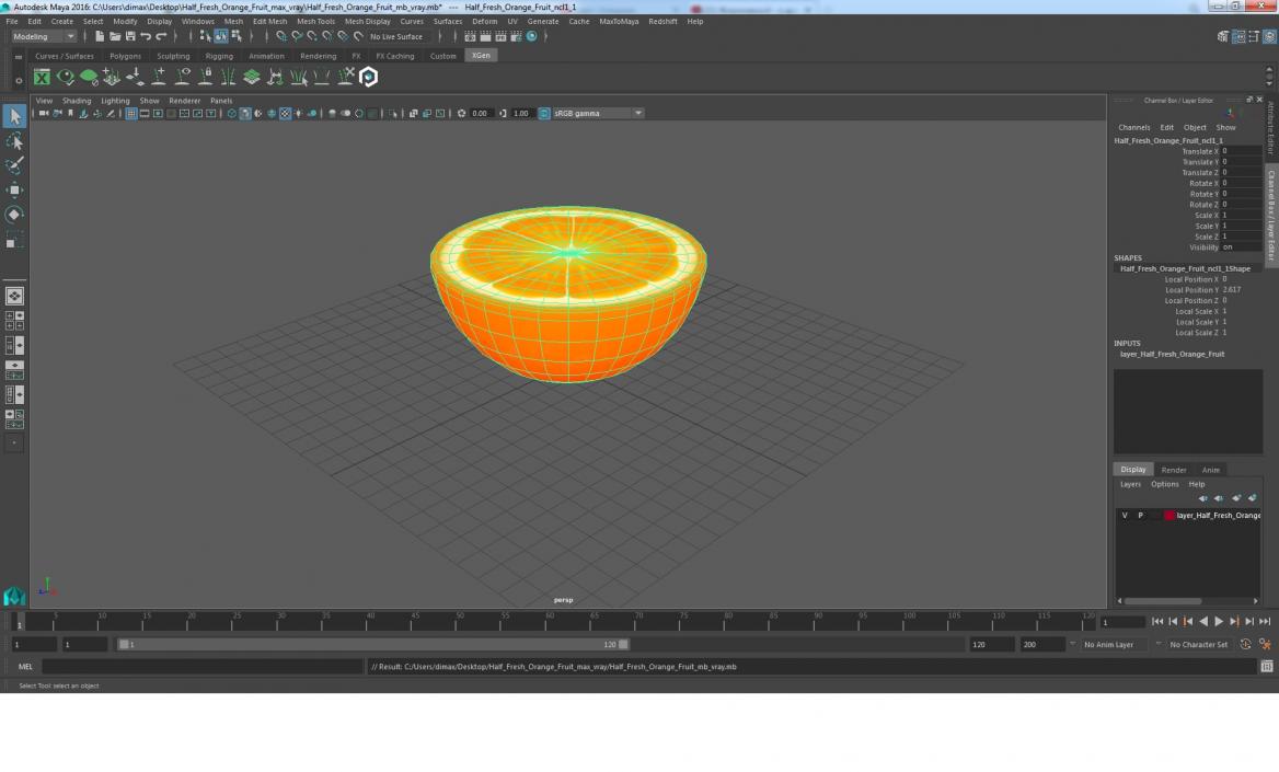 3D Half Fresh Orange Fruit Cartoon