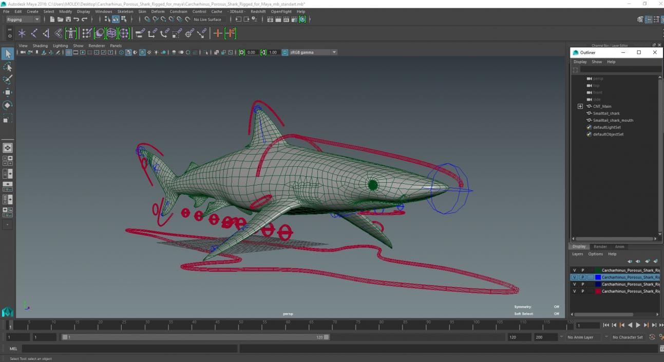 Carcharhinus Porosus Shark Rigged for Maya 3D