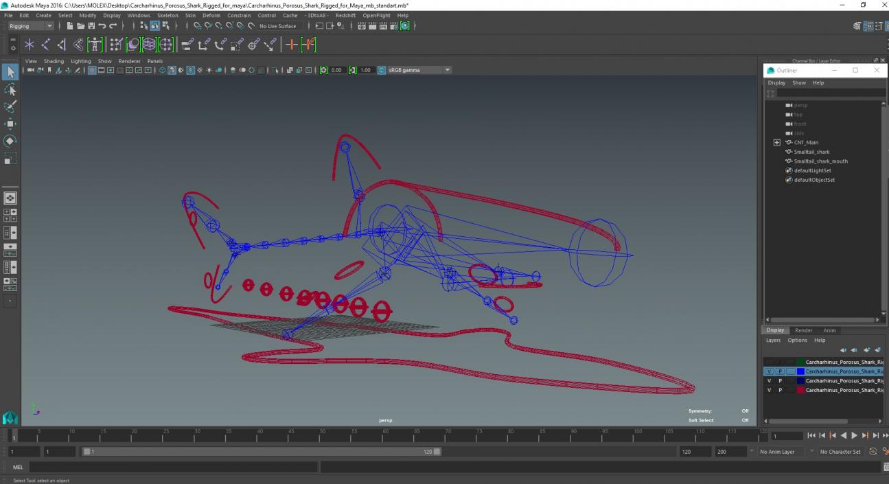 Carcharhinus Porosus Shark Rigged for Maya 3D