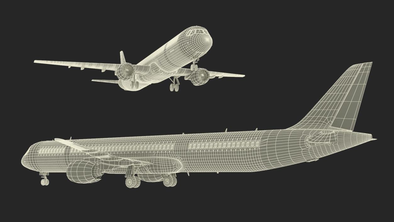 3D Passenger Jetliner model