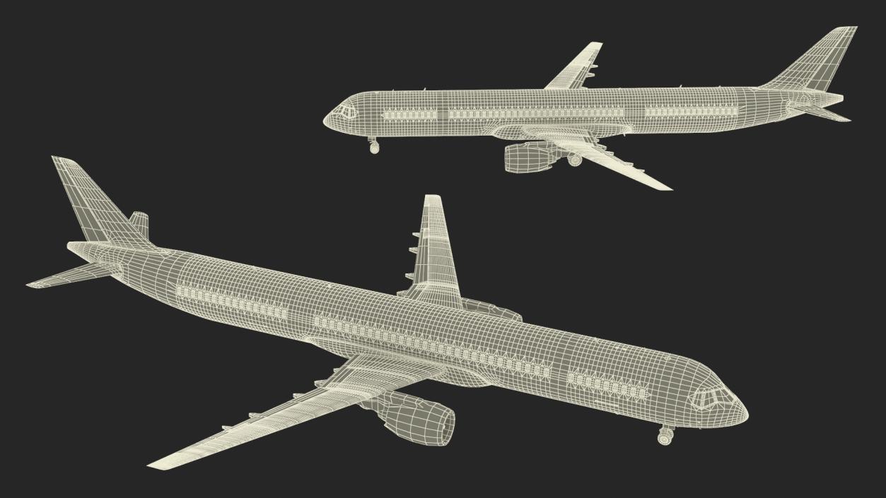 3D Passenger Jetliner model