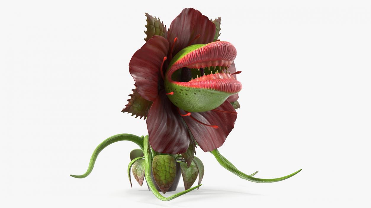 3D Scary Plant Monster in Pot