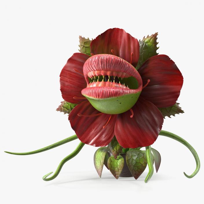 3D Scary Plant Monster in Pot