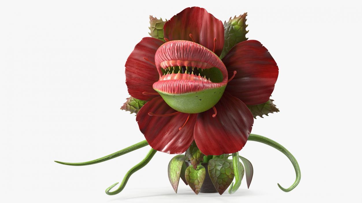 3D Scary Plant Monster in Pot