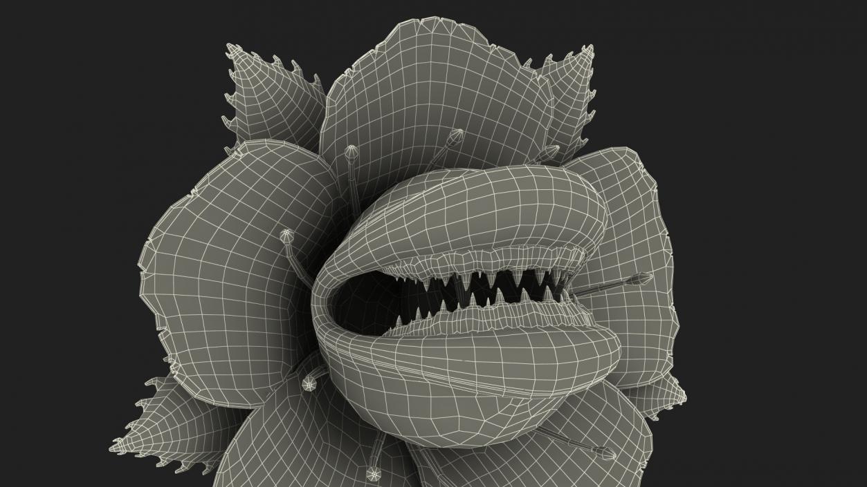 3D Scary Plant Monster in Pot