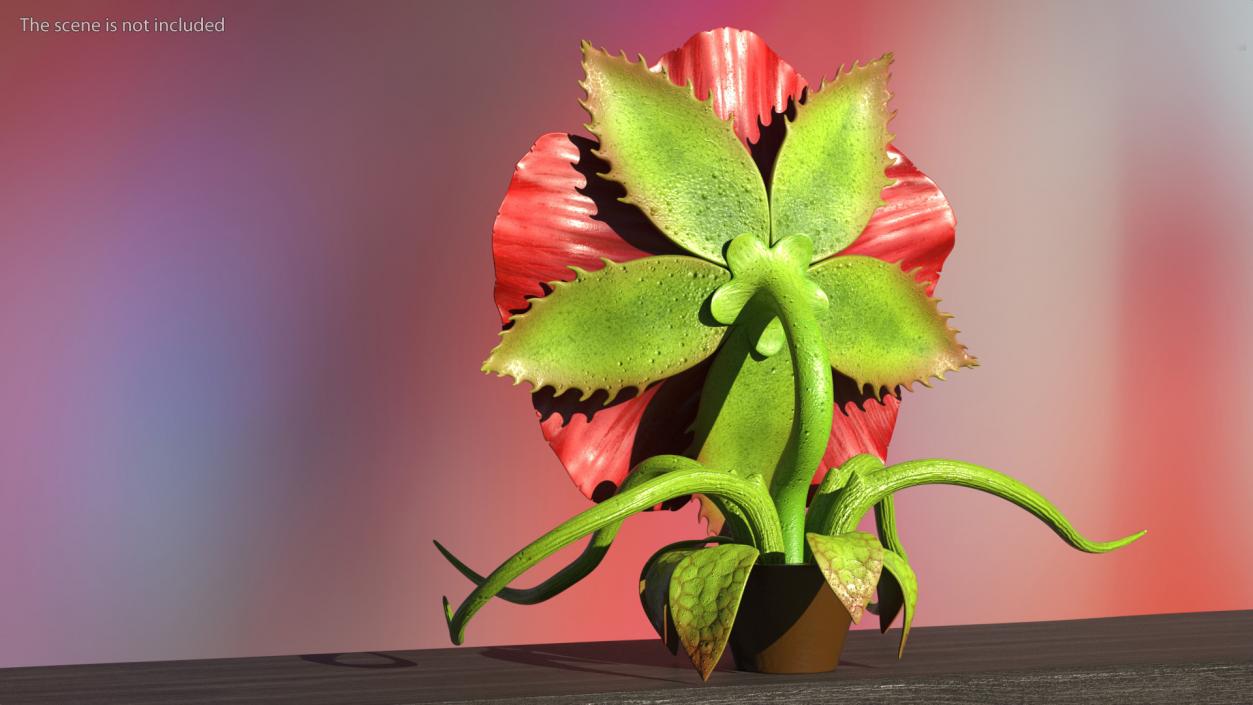 3D Scary Plant Monster in Pot