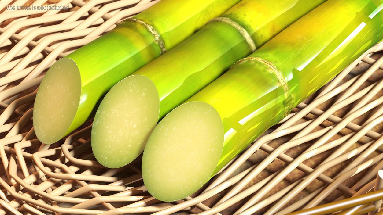 Fresh Sugarcane Sticks 3D