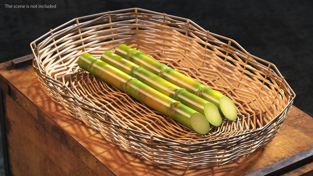 Fresh Sugarcane Sticks 3D