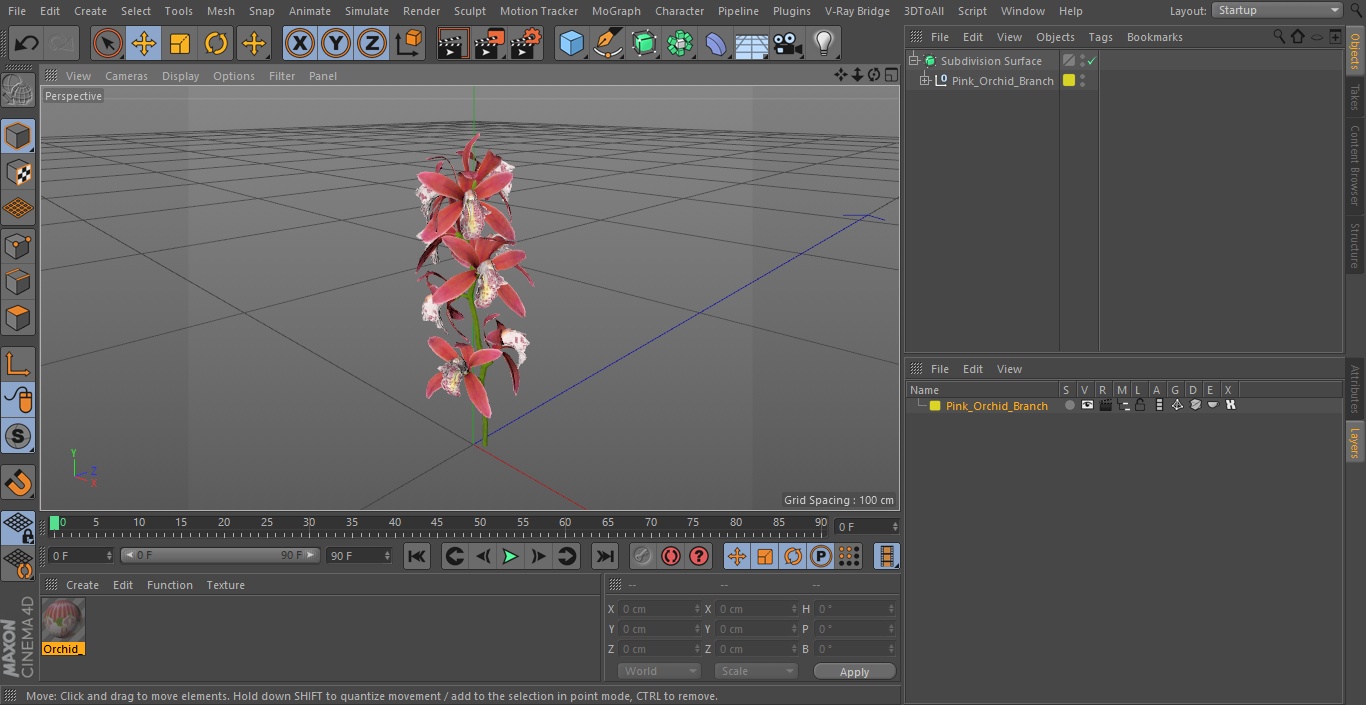 3D Pink Orchid Branch model