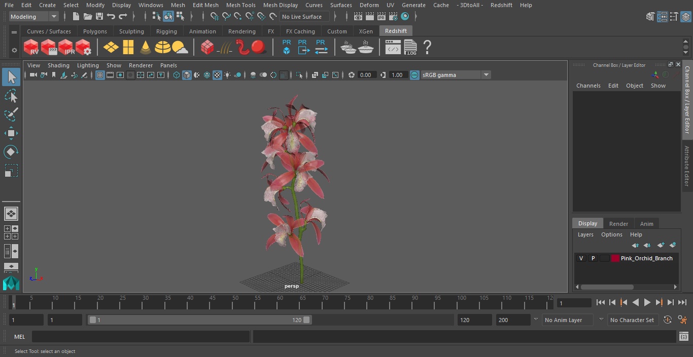 3D Pink Orchid Branch model