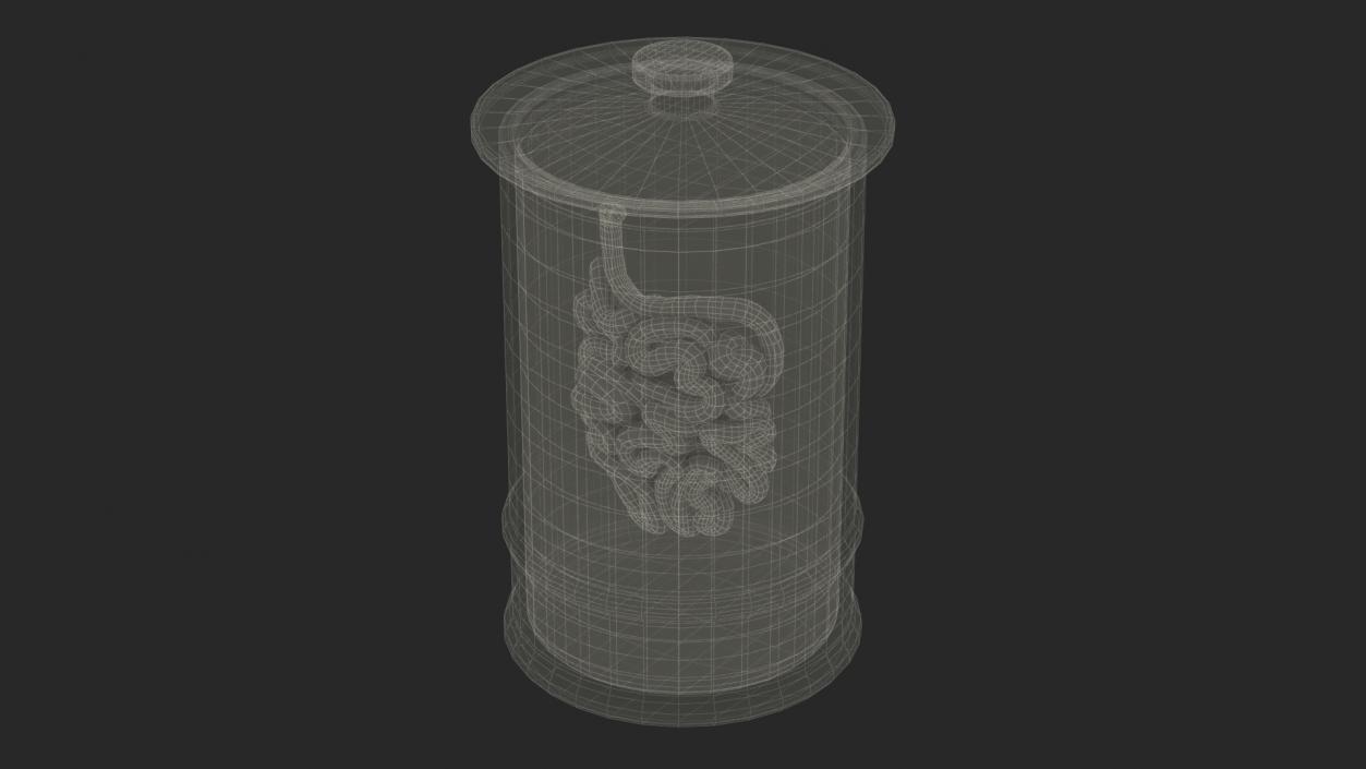 Human Small Intestine in Glass Jar 3D model