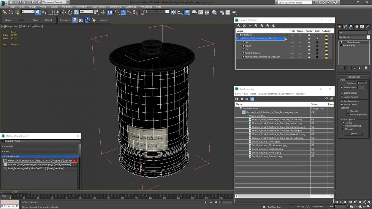 Human Small Intestine in Glass Jar 3D model