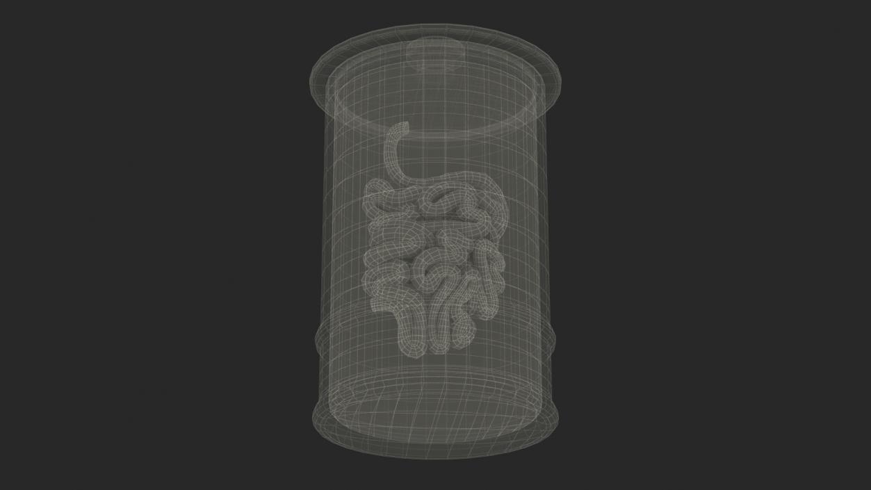 Human Small Intestine in Glass Jar 3D model