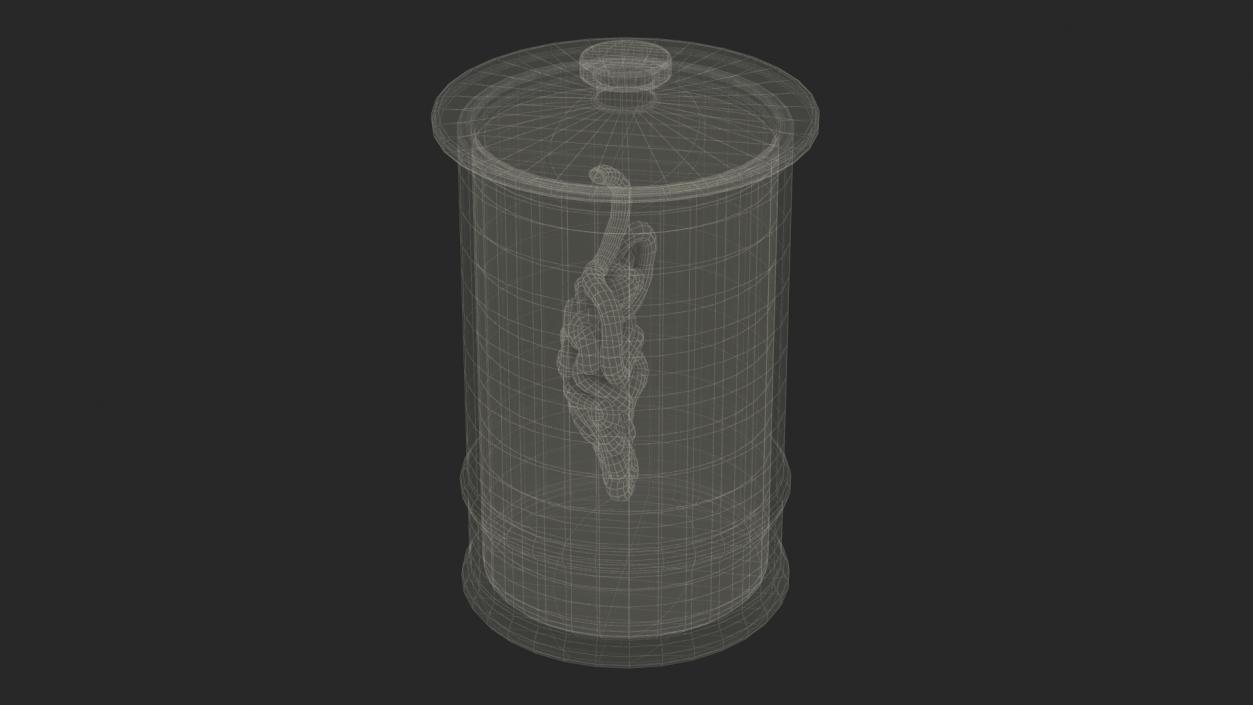 Human Small Intestine in Glass Jar 3D model