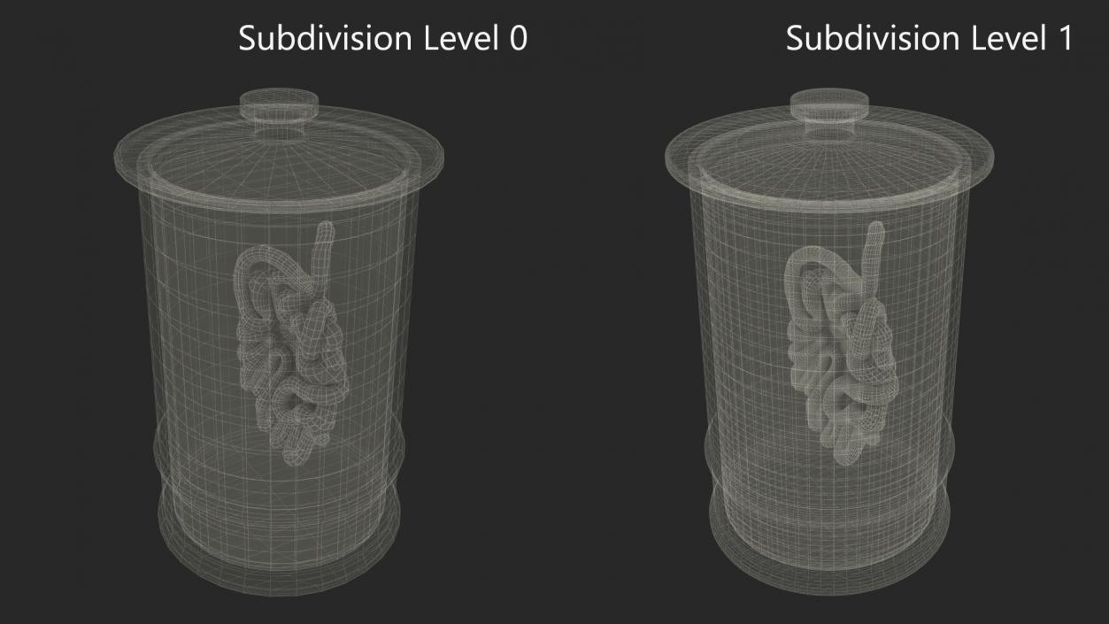 Human Small Intestine in Glass Jar 3D model