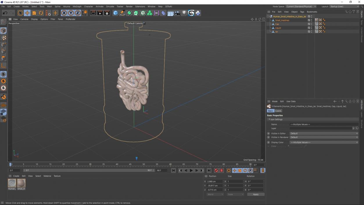 Human Small Intestine in Glass Jar 3D model