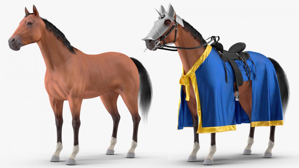 Knight Horse Blanket Fur 3D model